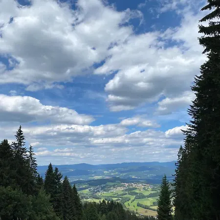 Bayerwald-blick, Schwimmbad, Sauna Apartment Sankt Englmar