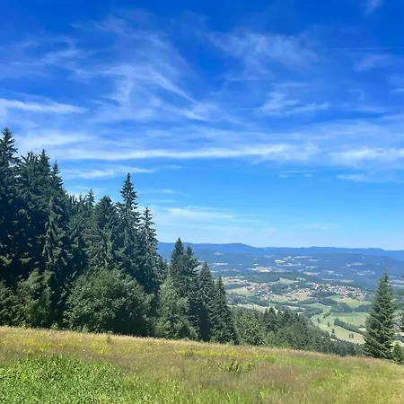 Bayerwald-blick, Schwimmbad, Sauna Apartment
