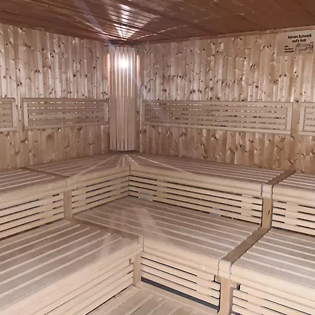 Bayerwald-blick, Schwimmbad, Sauna Apartment Sankt Englmar
