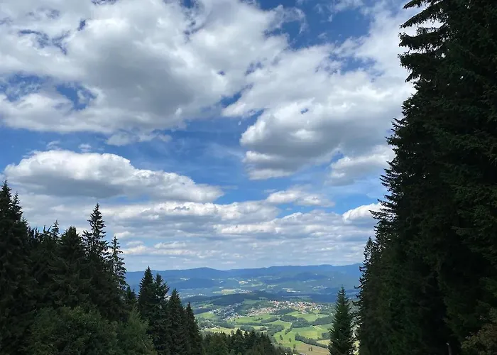 Bayerwald-blick, Schwimmbad, Sauna, Gaestecard Apartment Sankt Englmar