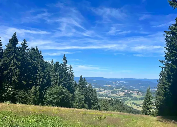 Bayerwald-blick, Schwimmbad, Sauna, Gaestecard Apartment